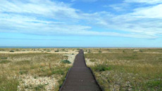 Pagham Harbour Nature Reserve